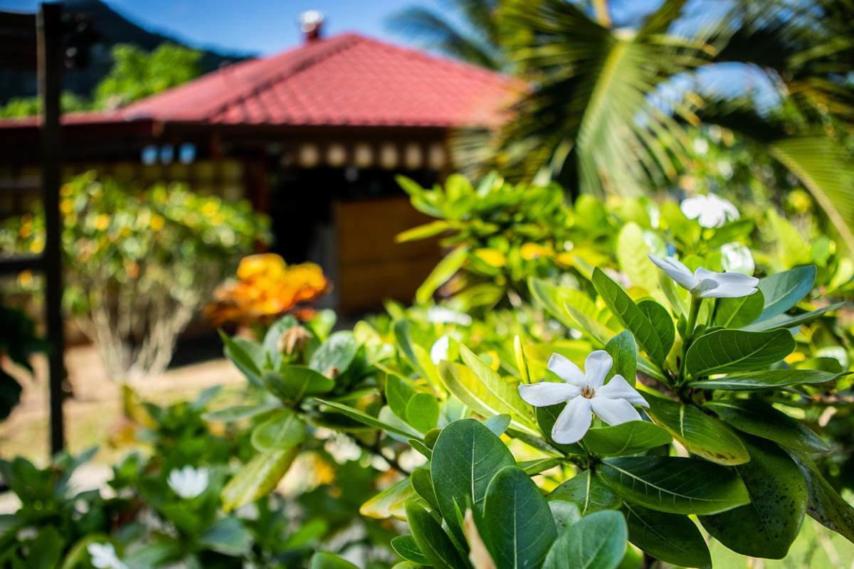 Raiatea Sur Mer Opoa エクステリア 写真