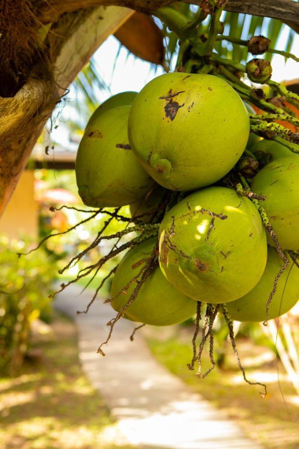 Raiatea Sur Mer Opoa エクステリア 写真