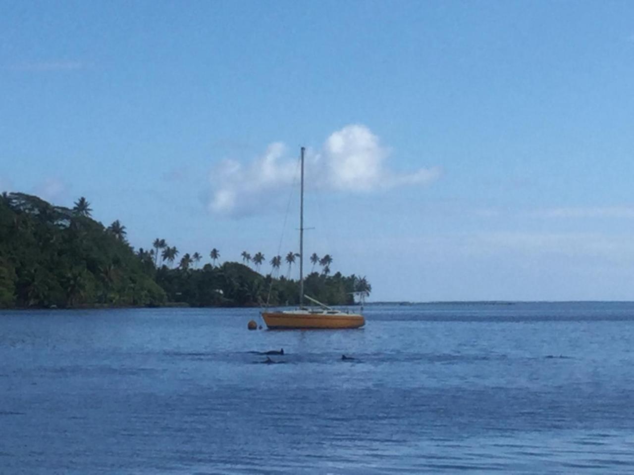 Raiatea Sur Mer Opoa エクステリア 写真